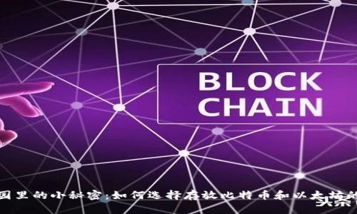 像花园里的小秘密：如何选择存放比特币和以太坊的钱包