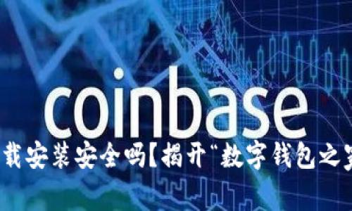 小狐狸钱包下载安装安全吗？揭开“数字钱包之家”的神秘面纱