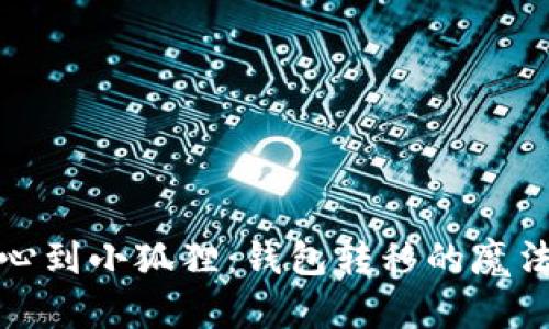 从核心到小狐狸：钱包转移的魔法之旅