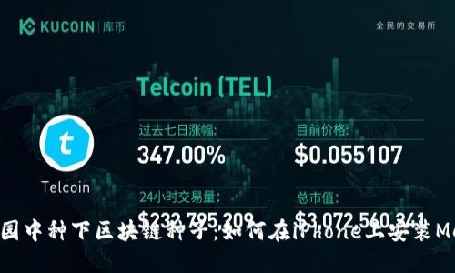 “在苹果果园中种下区块链种子：如何在iPhone上安装MetaMask！”