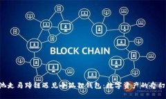 当e池走马蹄链遇见小狐狸钱包：数字资产的奇幻