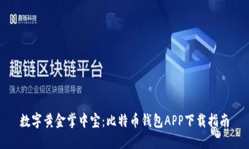 数字黄金掌中宝：比特币钱包APP下载指南