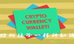 当你的MetaMask钱包像失踪的袜子一样神秘消失时，