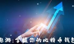 在数字货币的海洋中遨游：掌握你的比特币钱包