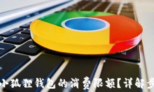 
如何修改小狐狸钱包的消费限额？详解步骤与技巧