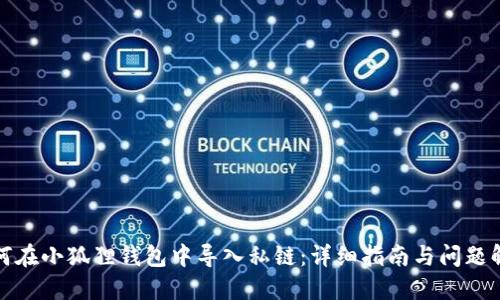 如何在小狐狸钱包中导入私链：详细指南与问题解答