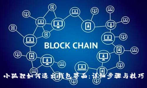 小狐狸如何退出钱包界面：详细步骤与技巧