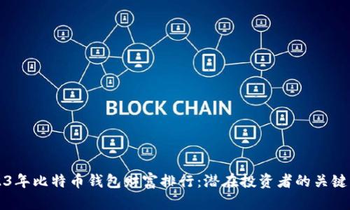 2023年比特币钱包财富排行：潜在投资者的关键指南