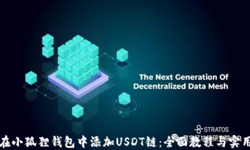 
如何在小狐狸钱包中添加USDT链：全面教程与实用技巧
