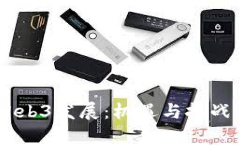 引领国内Web3发展：机遇与挑战并存的未来