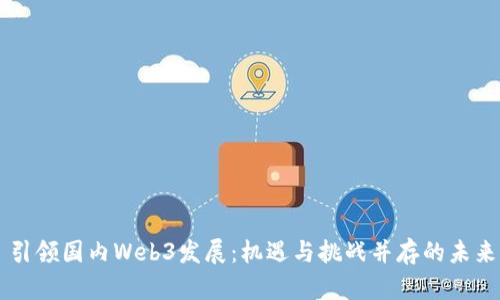 引领国内Web3发展：机遇与挑战并存的未来