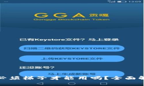 : 小狐狸钱包必须梯子才能用吗？全面解析与实用指南