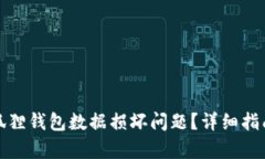 如何修复小狐狸钱包数据损坏问题？详细指南与