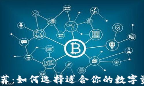 
USDT钱包推荐：如何选择适合你的数字资产存储方案