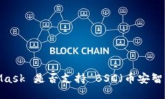 MetaMask 是否支持 BSC（币安智能链）？