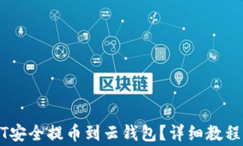 
如何将USDT安全提币到云钱包？详细教程与注意事项