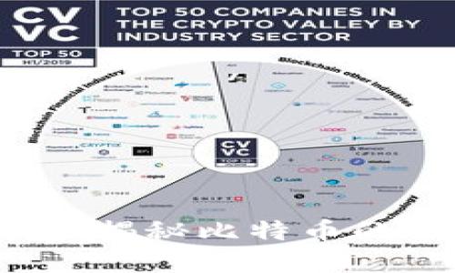 中本聪的比特币钱包：揭秘比特币的创始人及其数字资产