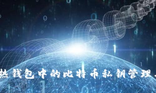 深入探讨：热钱包中的比特币私钥管理与安全策略