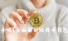 比特币钱包密码安全吗？全面解析比特币钱包安