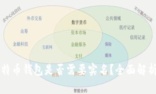 下载比特币钱包是否需要实名？全面解析与指引