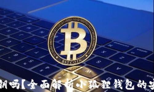 
小狐狸钱包有私钥吗？全面解析小狐狸钱包的安全性与使用指南