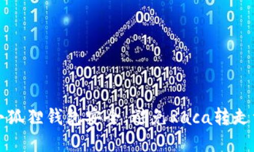 如何保护您的小狐狸钱包安全：避免Raca转走资产的实用指南